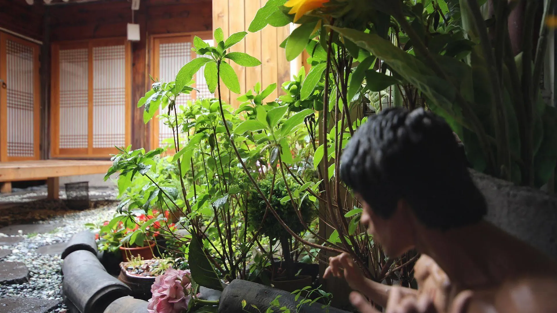 게스트하우스 Ohbok Guesthouse 서울특별시